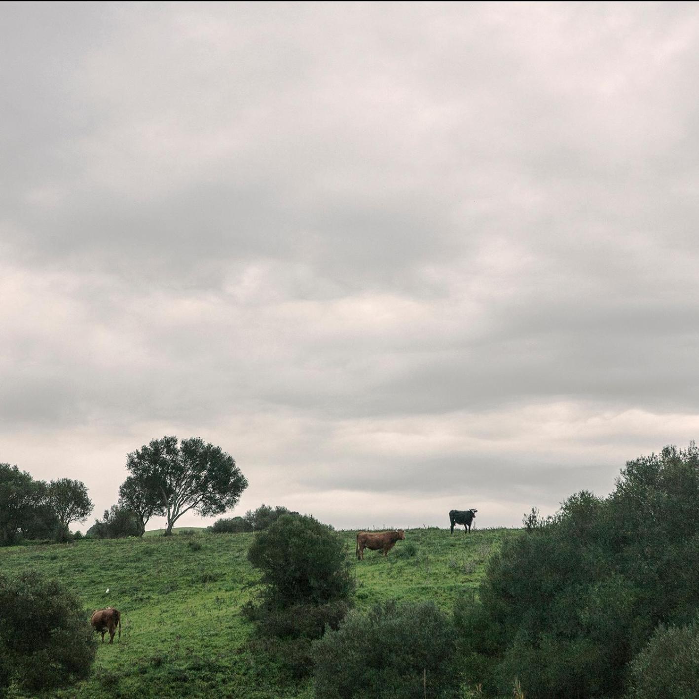 Ruralcamomo Villa Cadiz Dış mekan fotoğraf