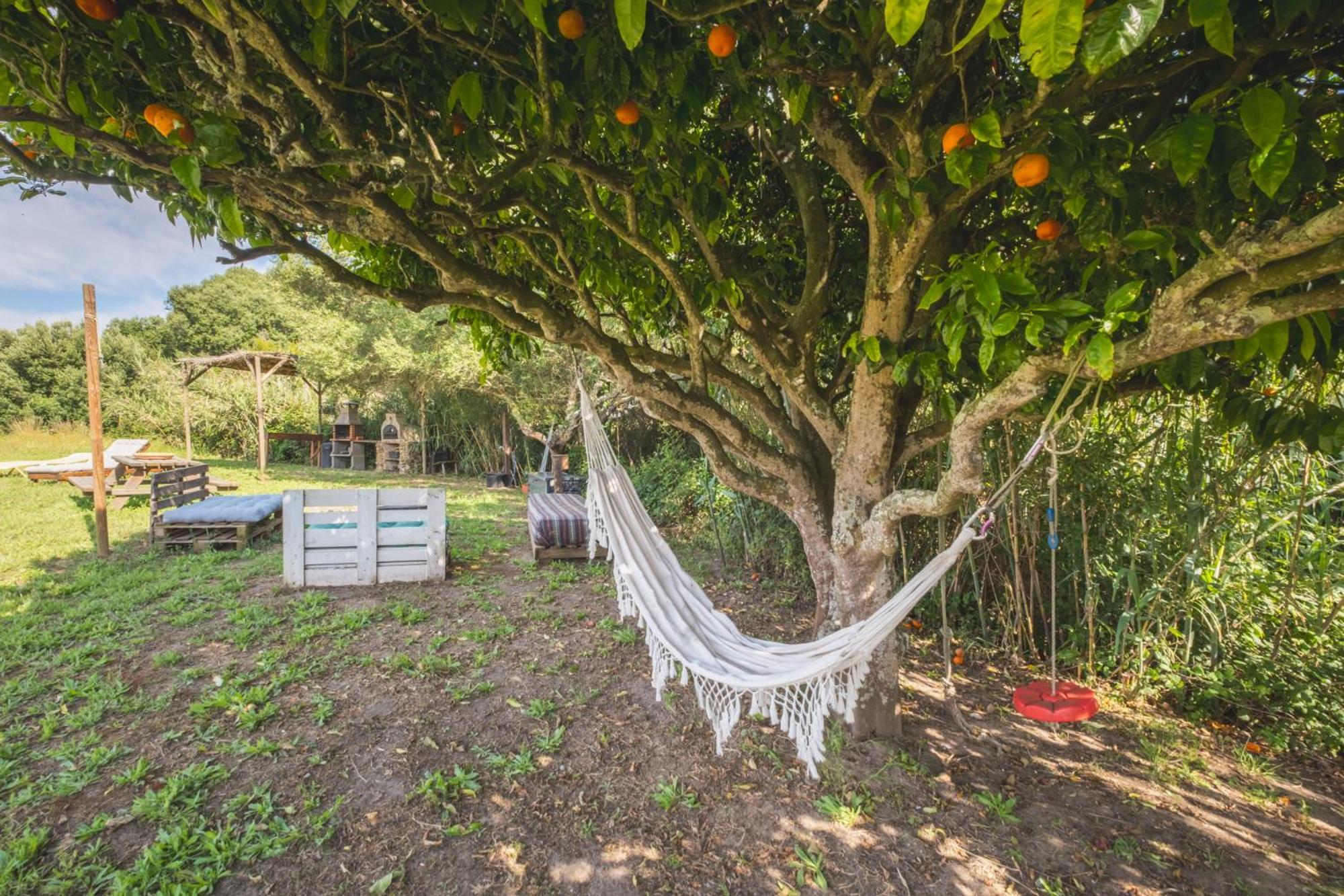 Ruralcamomo Villa Cadiz Dış mekan fotoğraf