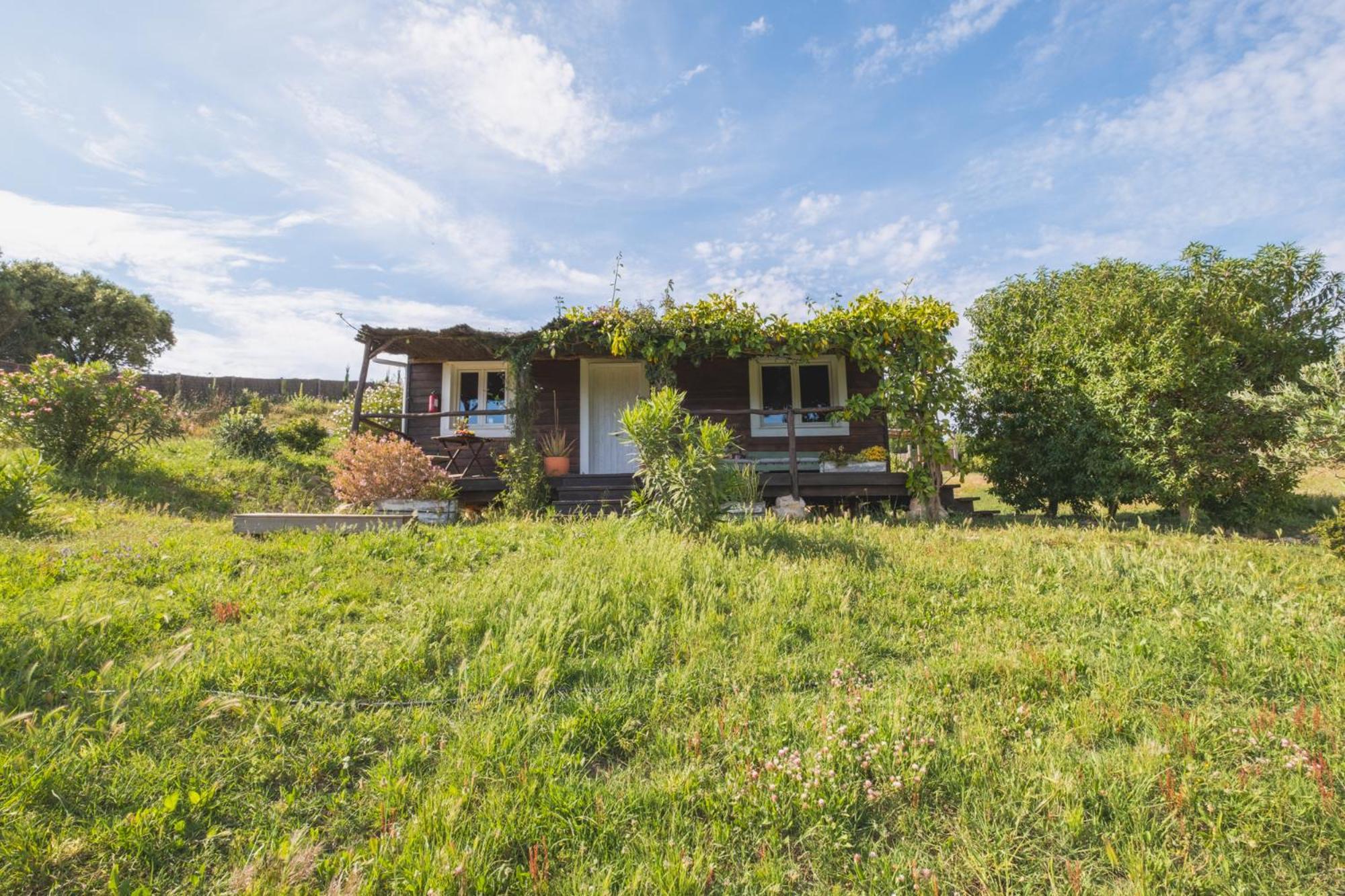 Ruralcamomo Villa Cadiz Dış mekan fotoğraf