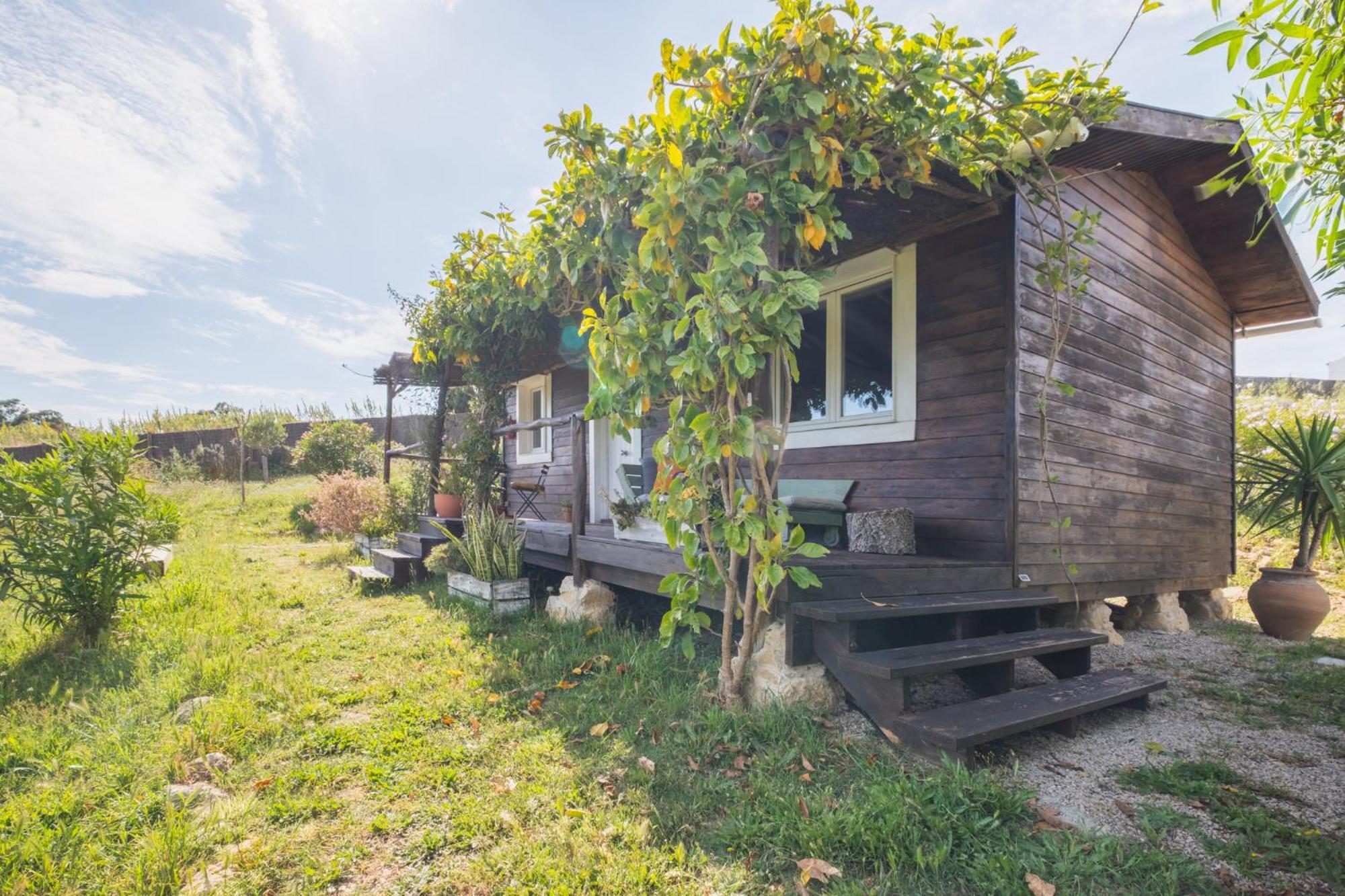 Ruralcamomo Villa Cadiz Dış mekan fotoğraf